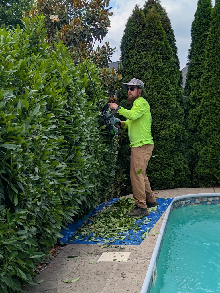 Hedge trimming work at a residential property